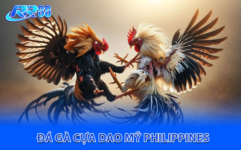 Đá gà cựa dao Mỹ Philippines